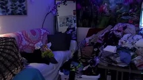 Recent Screenshot of  tricky_nymph