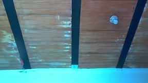 Recent Screenshot of  trix_ebony