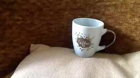 Recent Screenshot of  trobelle