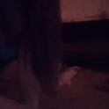 tsgoddessdani's Profile Picture