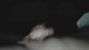 Recent Screenshot of  tucker9810