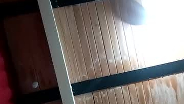 tulord