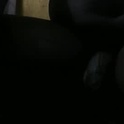 tyler101718452's Profile Picture