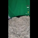tyrealsilver's Profile Picture