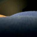 uglydaveh1's Profile Picture