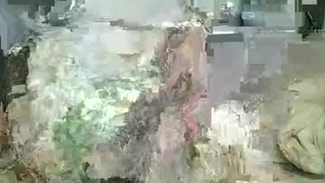 unadiosa