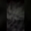 unicornfunky420's Profile Picture
