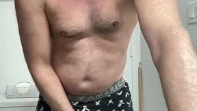 Recent Screenshot of  usasses3