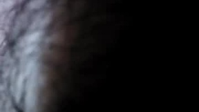 Recent Screenshot of  utahdog