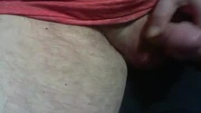 Recent Screenshot of  v2b4a2