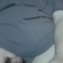 vahardcore1973's Profile Picture