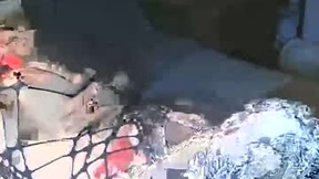 Recent Screenshot of  vanessaanythinggoes