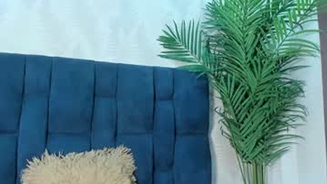 vayolet_foxx