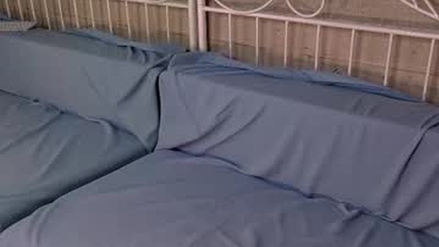 velvet_power
