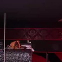 velvetgames's Profile Picture