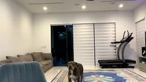 Recent Screenshot of  velvettgirl