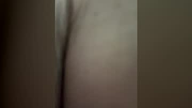 venuslux22