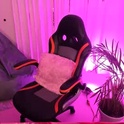 verolake's Profile Picture