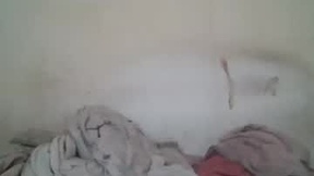 Recent Screenshot of  vids1977