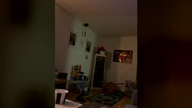 vimmy900