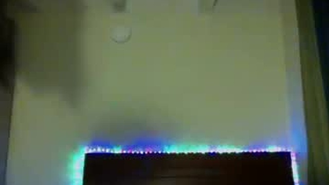violet_kitty_2