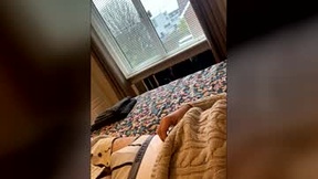 Recent Screenshot of  viscfra