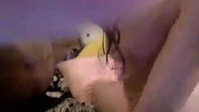 Recent Screenshot of  vivianowo