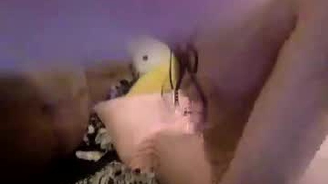 vivianowo