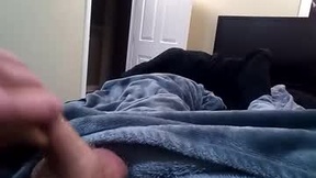 Recent Screenshot of  vladedivac1998