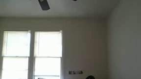 Recent Screenshot of  waitingtilmarriage