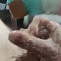 wallypower99's Profile Picture