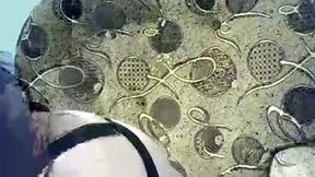 Recent Screenshot of  wanessawarm102