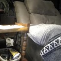 wantobone22's Profile Picture