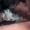 wataabtme's Profile Picture