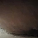 watchhiddenwife's Profile Picture