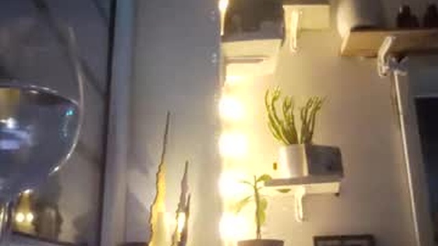 wildcrazypussy