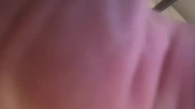 wildjack_plus_nastyjacky