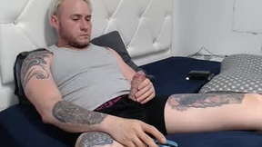 Recent Screenshot of  wildpecker