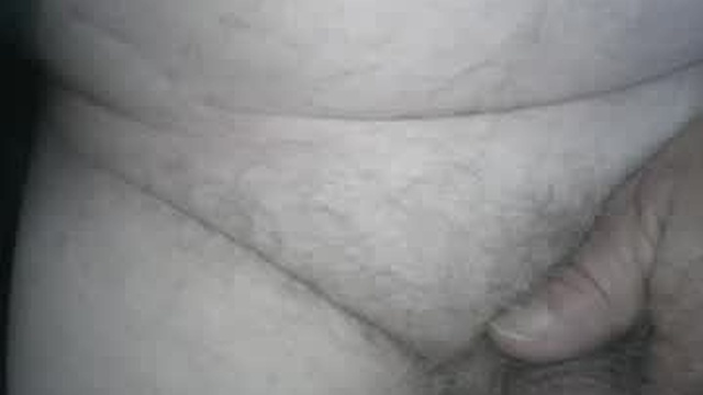 wilhejo2