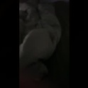 willlyboy's Profile Picture