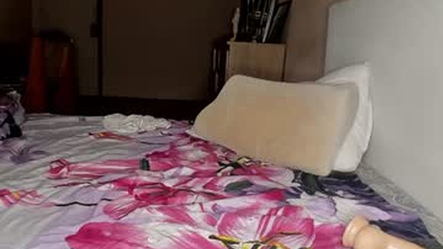 willlytr
