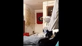 Recent Screenshot of  willmc2026