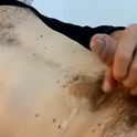 willyrandom's Profile Picture