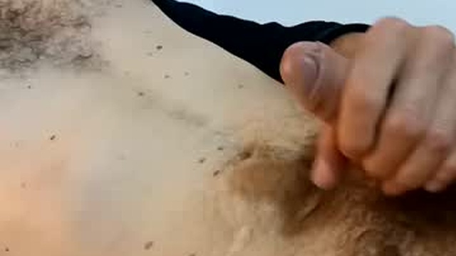 willyrandom