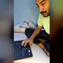 wolf297wolf's Profile Picture