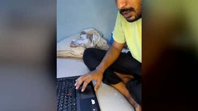 wolf297wolf
