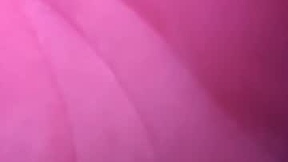 Recent Screenshot of  wyiatt_unknown