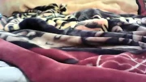 Recent Screenshot of  xobadlandsox