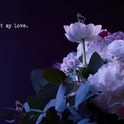xobondaixo's Profile Picture