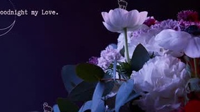 Recent Screenshot of  xobondaixo